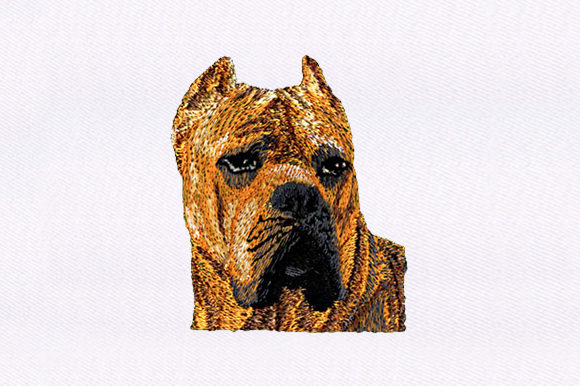 Brown Dog Embroidery: A Seller’s Review for Etsy Success