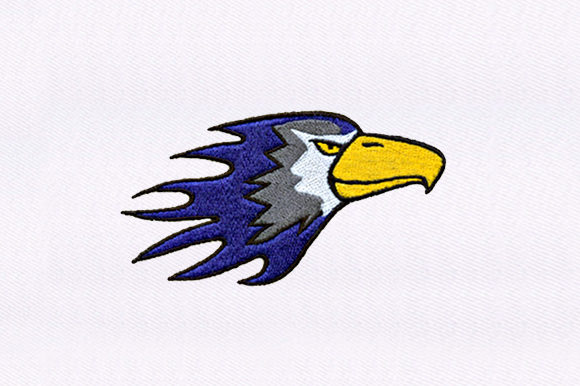 Fiery Eagle: A Designer’s Review for Boutique Sweatshirts