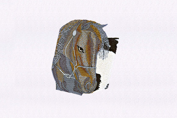 Gazing Horse Embroidery Design Review