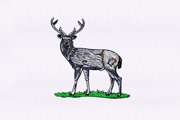 Review: White Tailed Deer Design for Boutique Sweatshirts