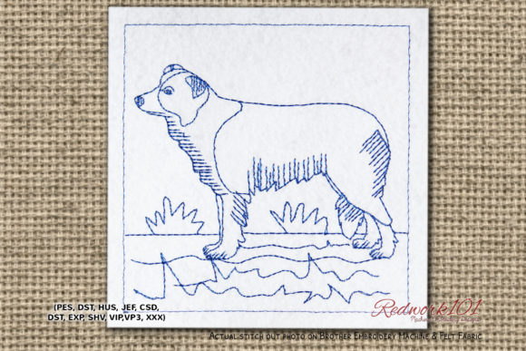 Reviewing the Border Collie Dog Design for Commercial Use